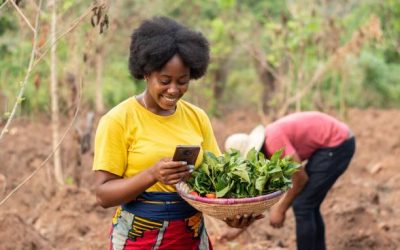 THE FUTURE OF FOOD: HOW SOCIAL ENTERPRISE IS REVOLUTIONIZING THE AGRICULTURE INDUSTRY